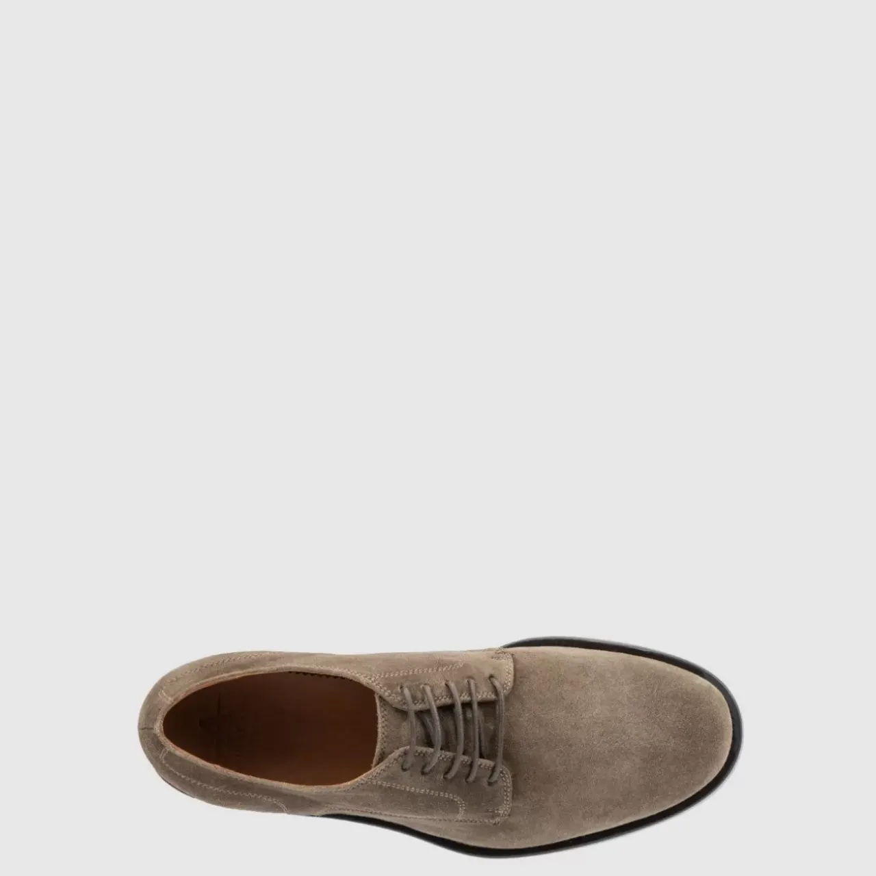 Aquatalia Oxfords & Loafers-Arturo Flint