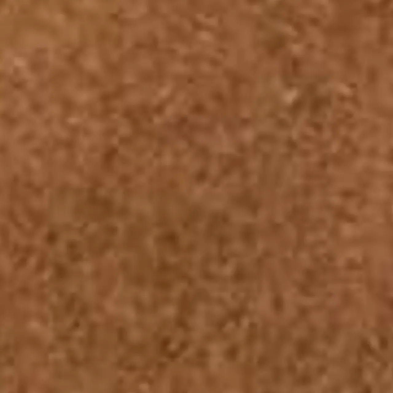 Aquatalia Flats-Calandra Caffe