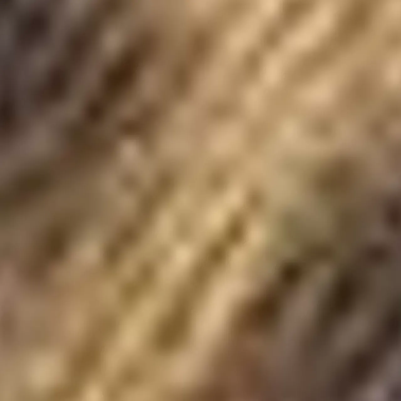 Aquatalia Boots-Carisa Spotted Leopard