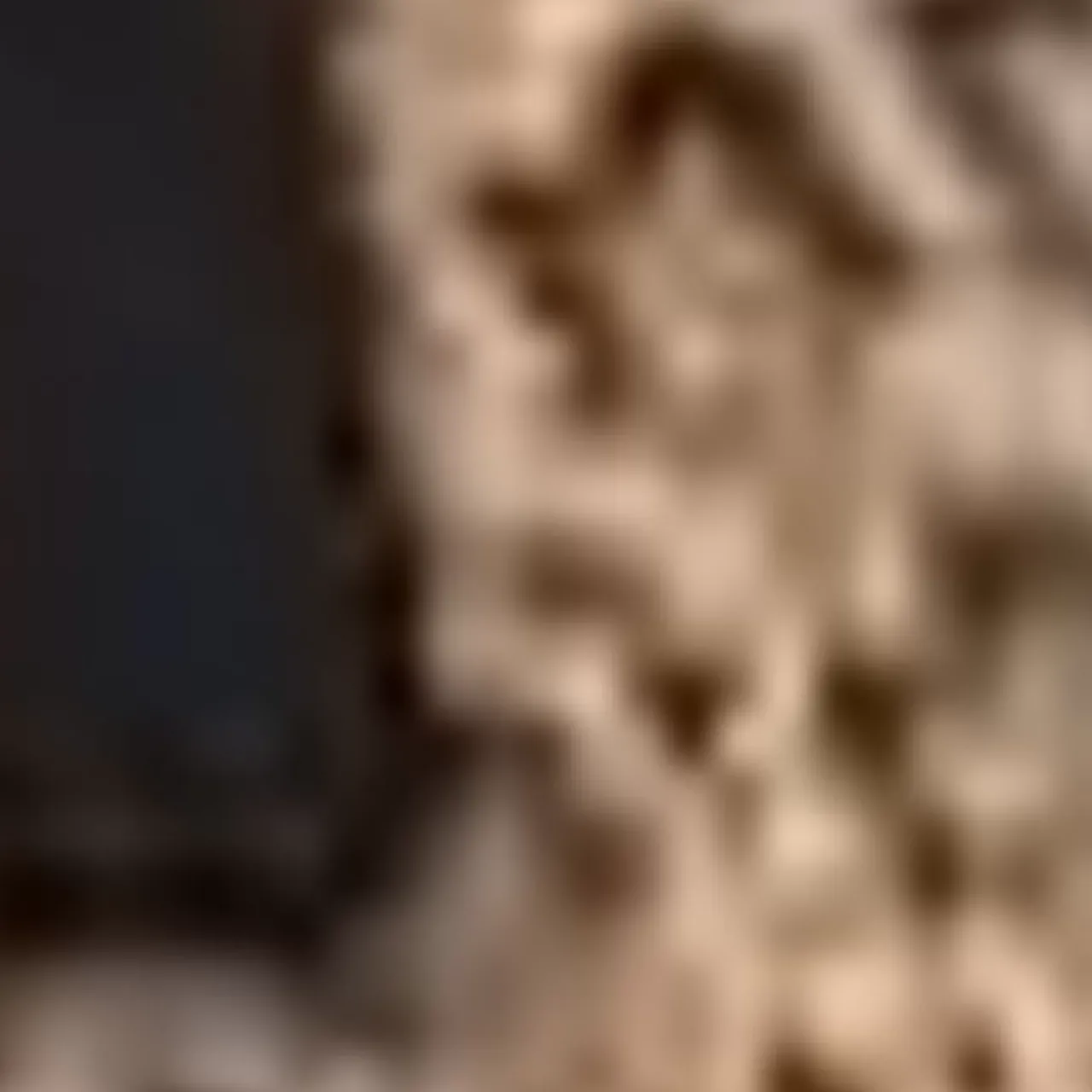 Aquatalia Boots-Holly Caramel/Black