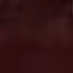 Aquatalia Boots-Morena Oxblood