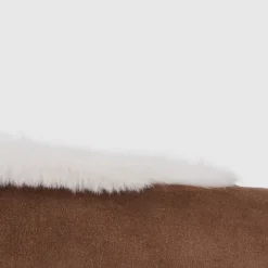 Aquatalia Flats-Qassidy Champagne/White