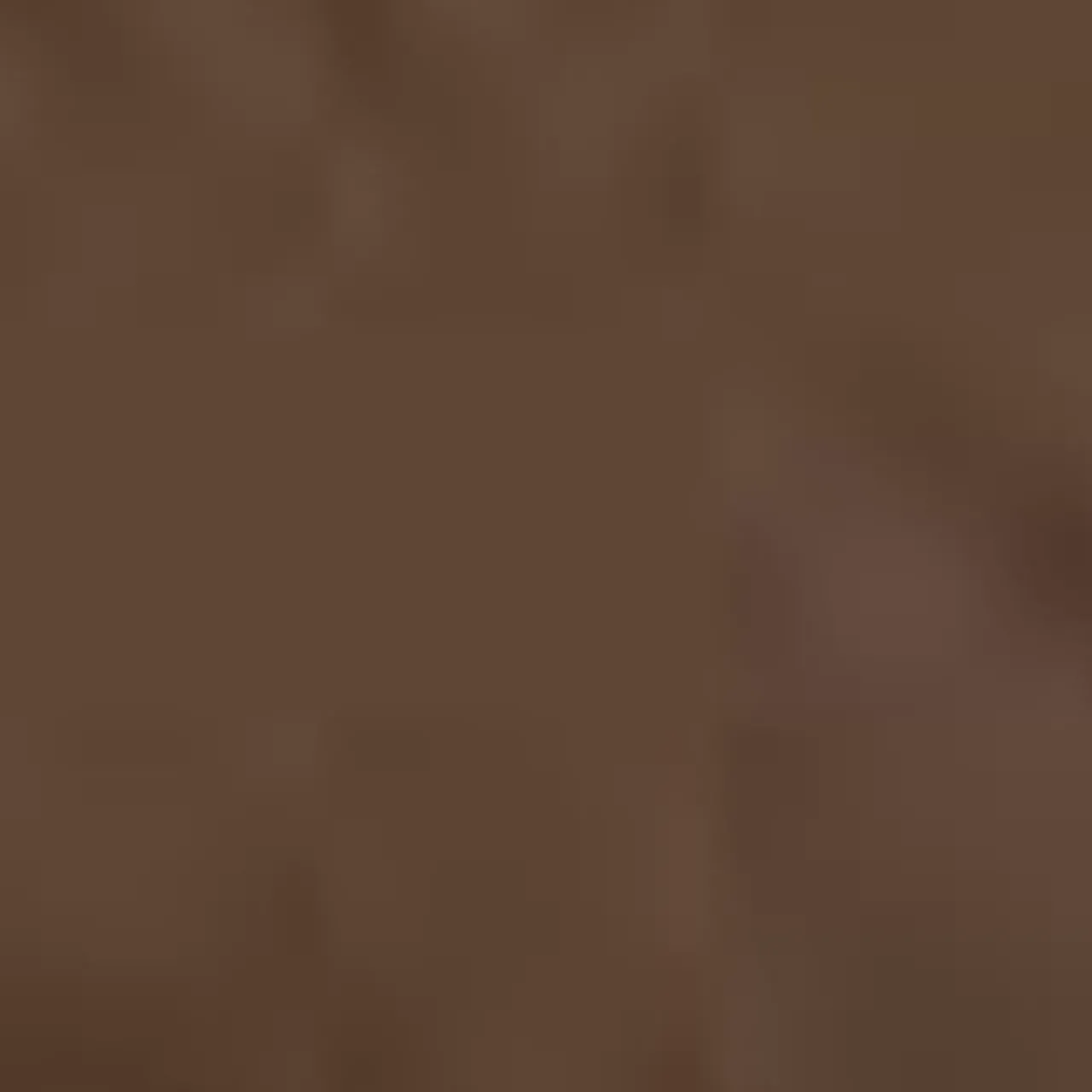 Aquatalia Outerwear-Salerno Bronze