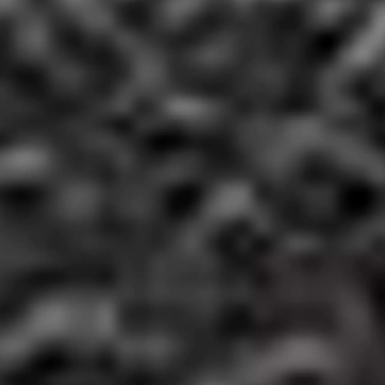 Aquatalia Handbags-Soho Crossbody Black